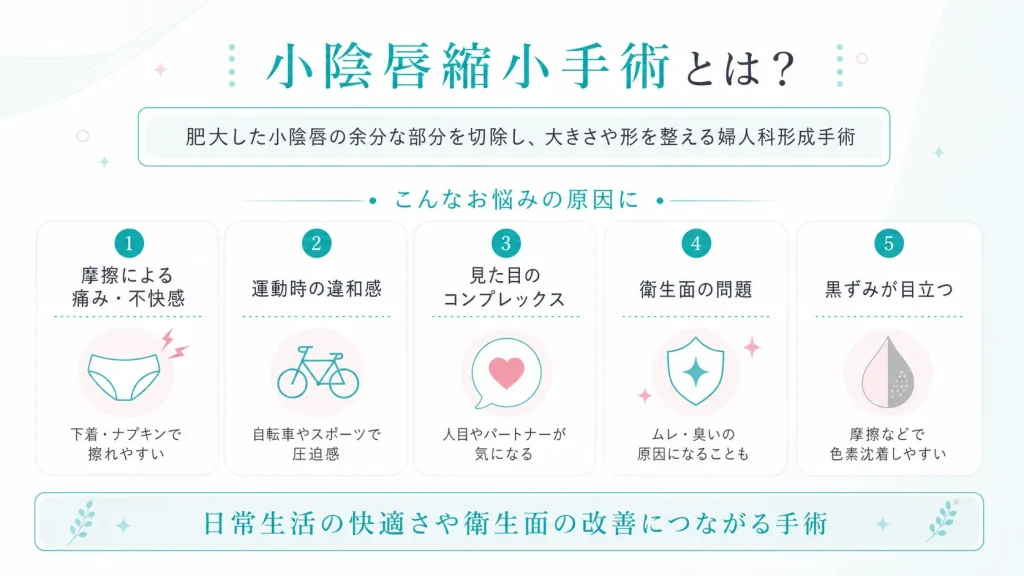 小陰唇縮小とは