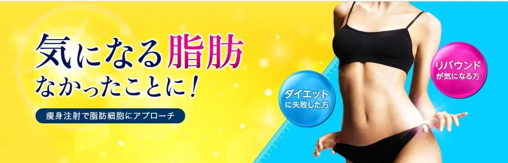 品川美容外科 エバー・スリム®