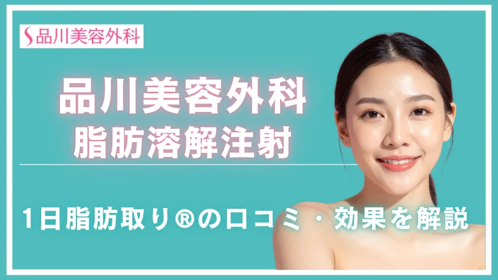 品川美容外科の脂肪溶解注射(1日脂肪取り®)の口コミ・効果を解説
