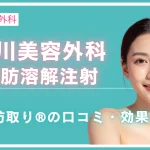 品川美容外科の脂肪溶解注射（1日脂肪取り®）の口コミ・効果を解説